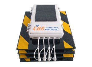 Balance connectée, beescale 4 ECO